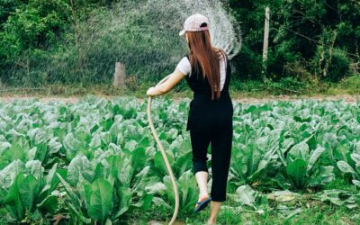 The New Approach to Garden Weeds and Why You Need it