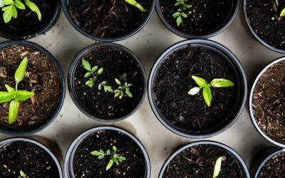 It&rsquo;s Time To Design Your Dream Outdoor Leaving Space